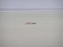 P8030107