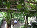 P8050150