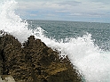 P8050155