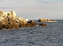 P8050198