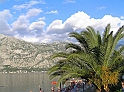 P8060233