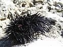 P8090325