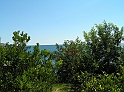 P8090326