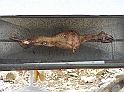 P8120359