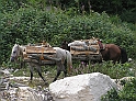 P8120364