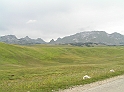 P8120367