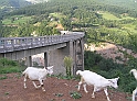 P8120395