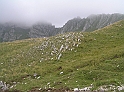 P8130416