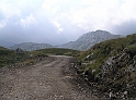 P8130422