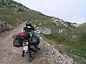 P8130423