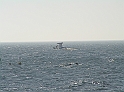 P9030052