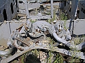 P9040152