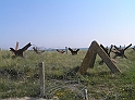 P9040155