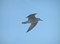 P1080059