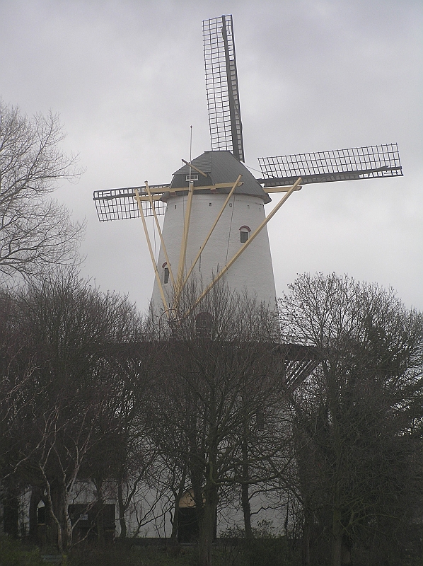 Original image
