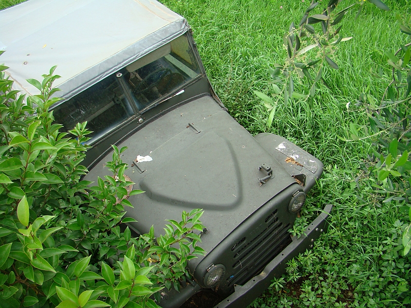 DSC04419