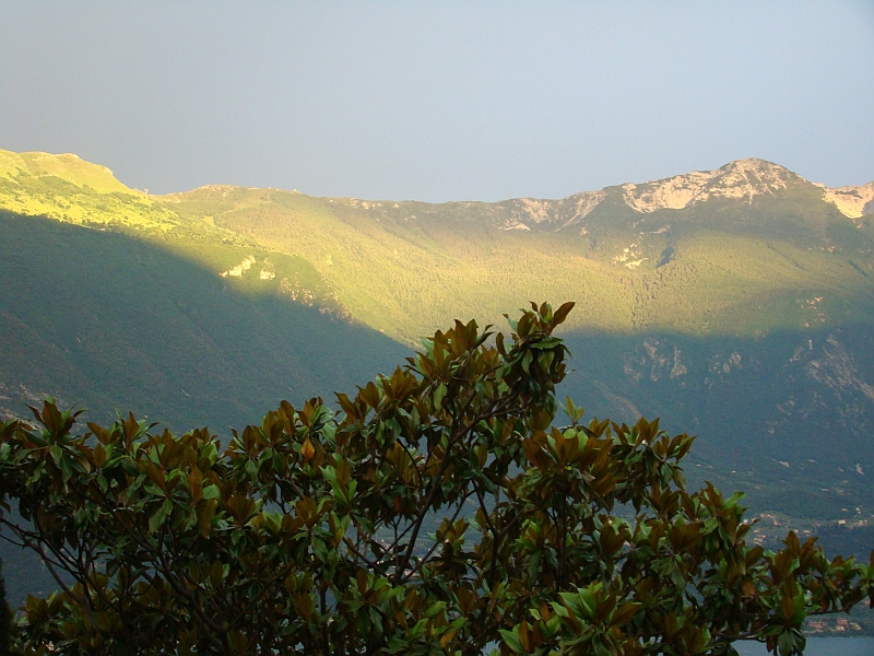 DSC04765