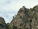 DSC04472