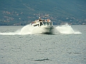 DSC04534
