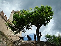 DSC04582
