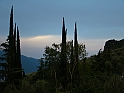 DSC04785