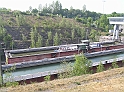 P4290391
