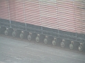 P4290398