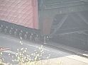 P4290401
