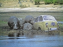 P4040260