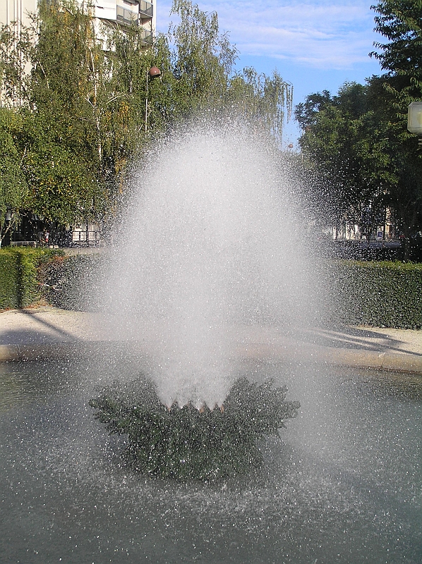 Original image