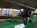 DSC01837