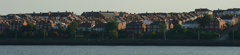 DSC05771