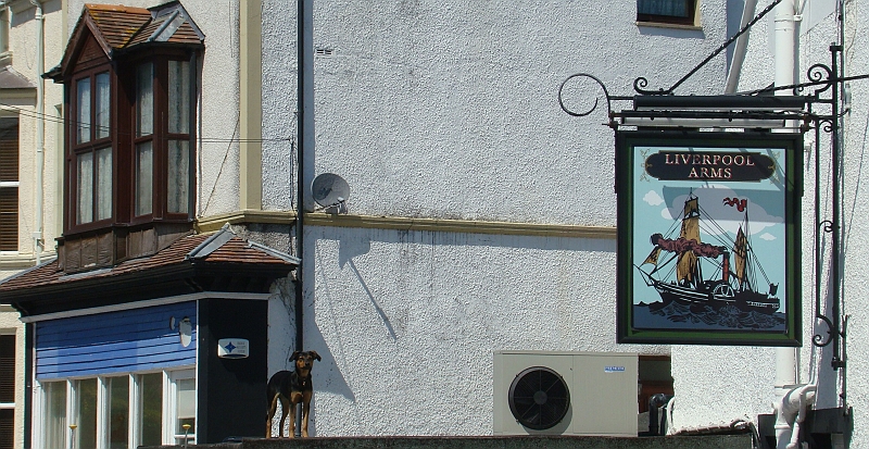 DSC05959
