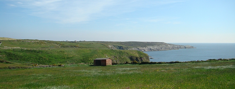 DSC05965