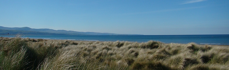 DSC05993