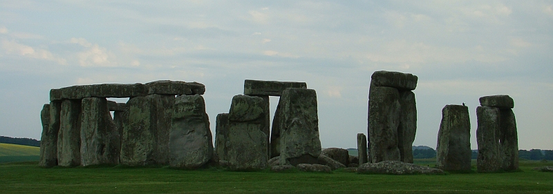 DSC06004