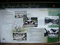 DSC03363