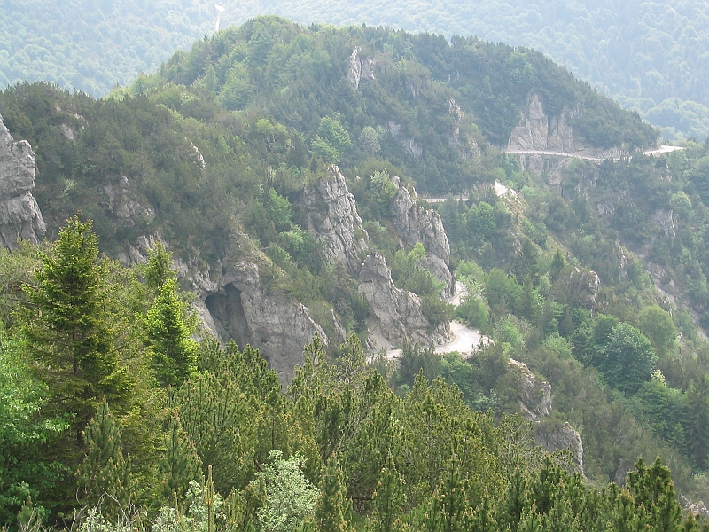 Original image