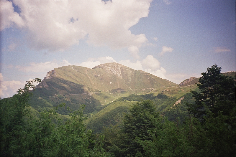 Original image