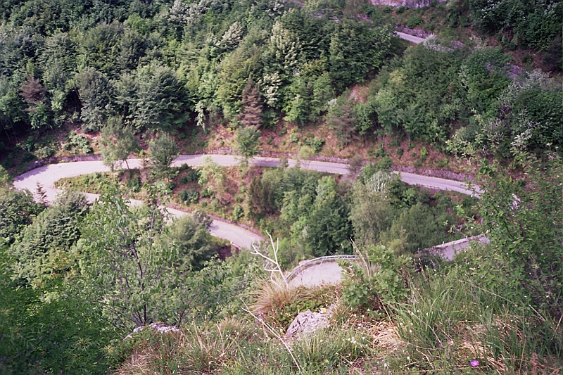 Original image