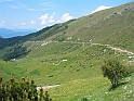 07-015
