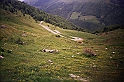 _9A_1273