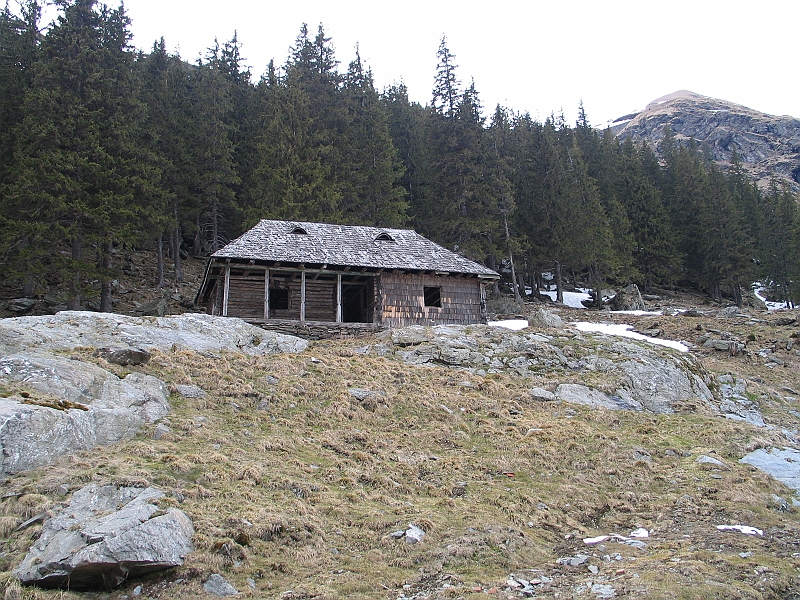 Original image