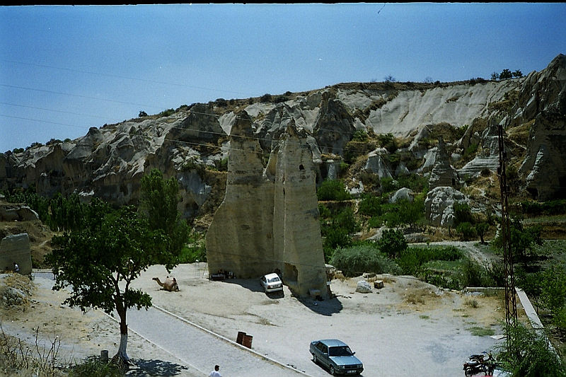C0024