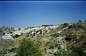 C0026