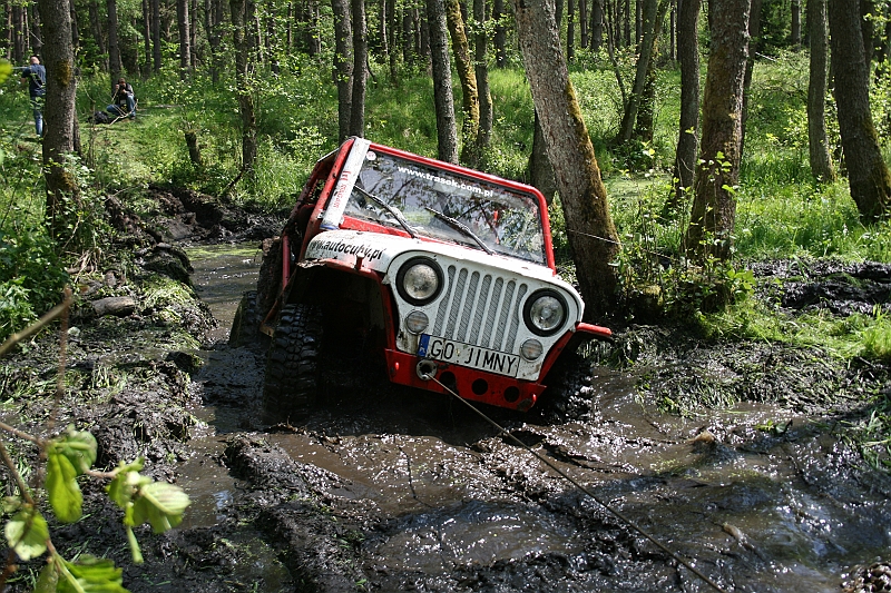 61