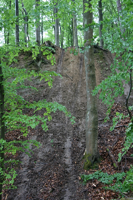 56