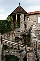IMG_6546