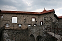 IMG_6547