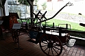 IMG_6453